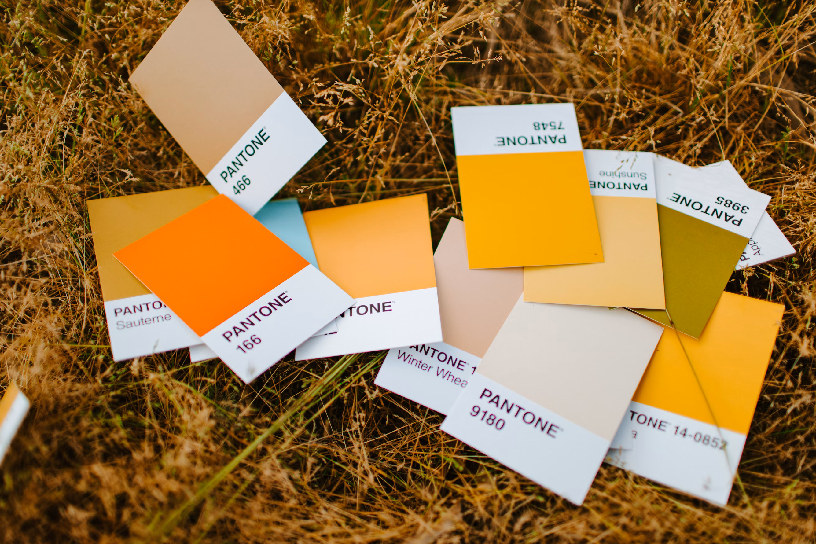 Paint color swatches scattered on a surface showing the difficulty of choosing exterior house paint colors